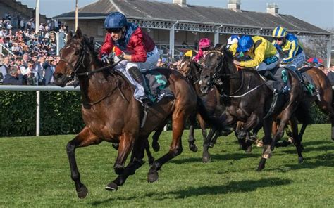 doncaster races results|doncaster races 2022 fixtures.